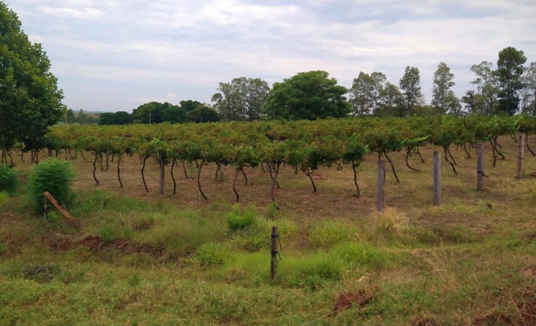 Santo Antônio das Missões casal