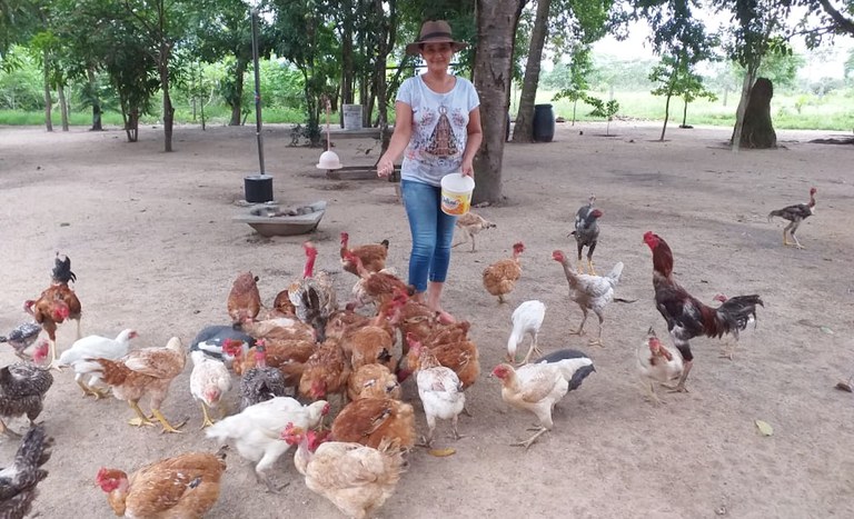 Assentamento Nossa Senhora Aparecida II em Redenção (PA)