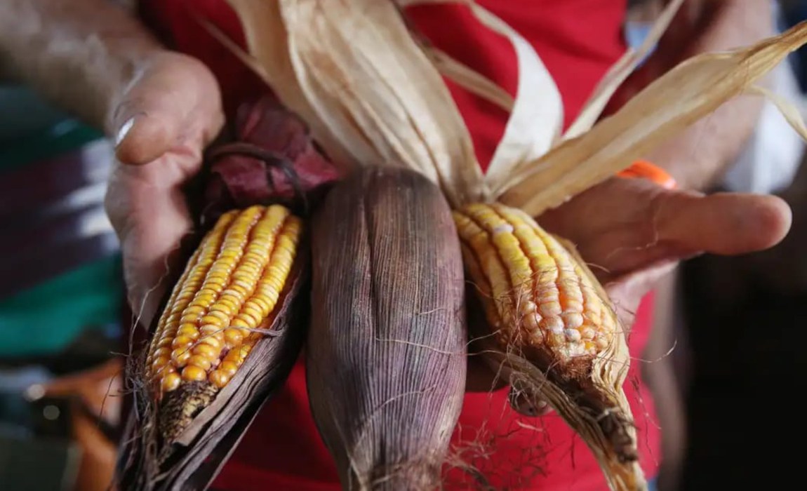 Governo federal decreta sete imóveis rurais de interesse social para a criação de assentamentos