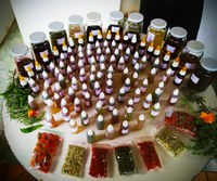 Horto medicinal usa abelhas para levar saúde a assentamento de Fraiburgo (SC)