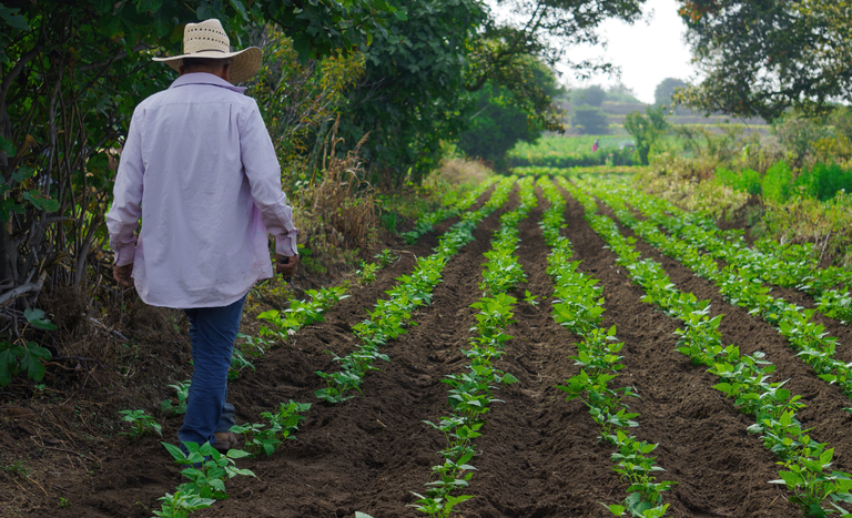 Incorporação de imóveis ao programa de reforma agrária encerra conflitos agrários em áreas de Pernambuco e Paraíba