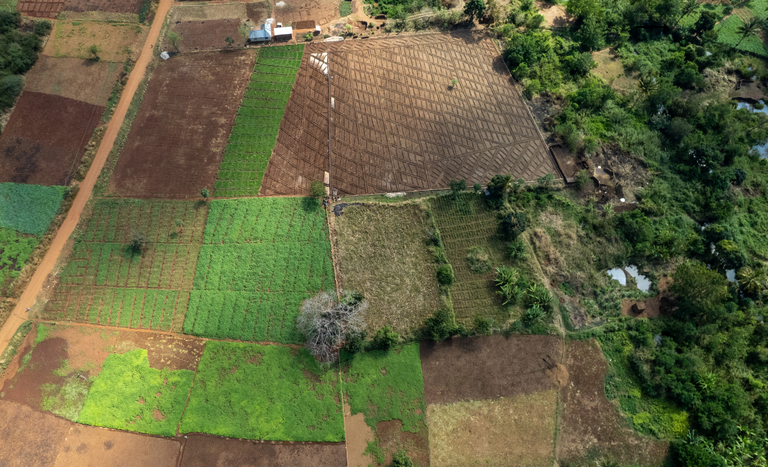 Incra altera regras na seleção de famílias para assentamentos da reforma agrária
