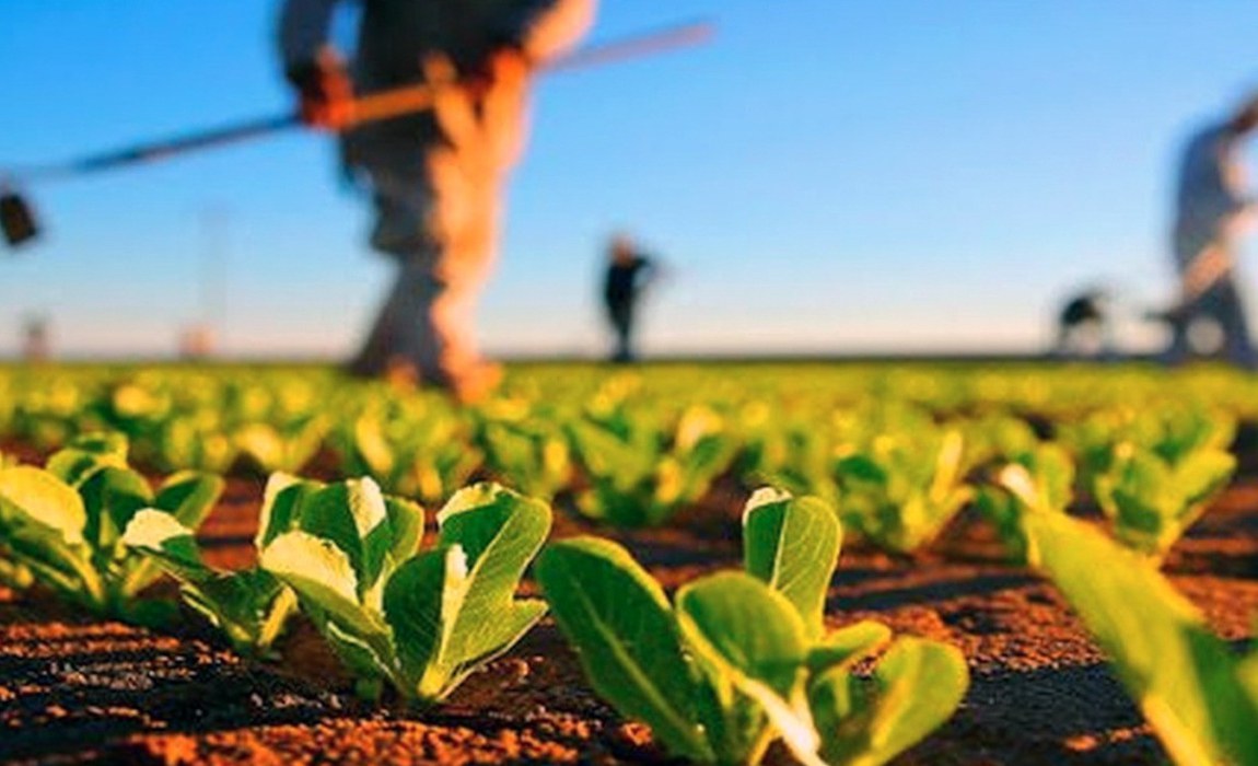 Incra aplica mais de R$ 190 milhões em Crédito Instalação nesta véspera de Natal