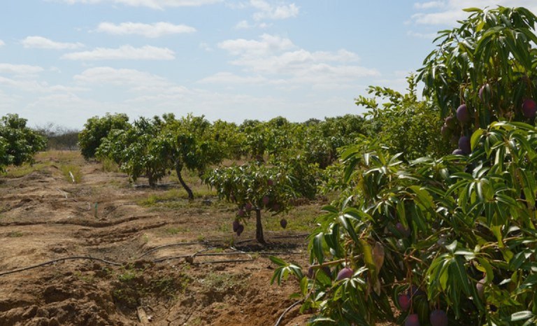 Incra aplica R$ 2,7 milhões em soluções hídricas no Semiárido de Pernambuco