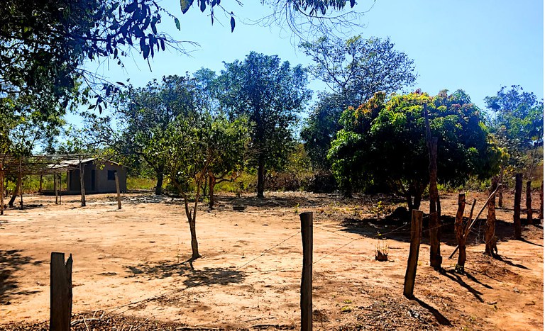 TO_PA Malu I_Palmeirante 3_jan2026.jpg