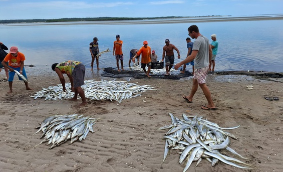 Projeto Agroextrativista Pesqueiro Território Barra de Mamanguape