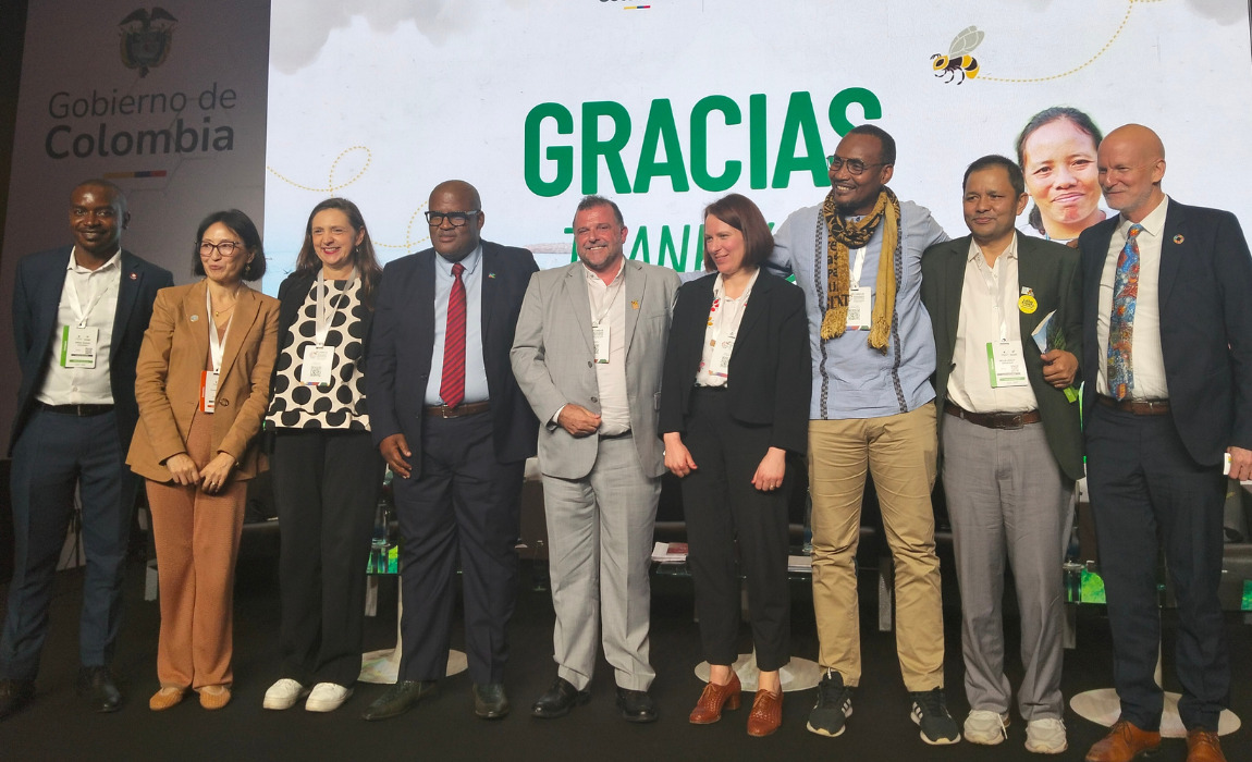 Incra destaca retomada das ações na CIRAD+20 e apresenta experiência brasileira de governança da terra