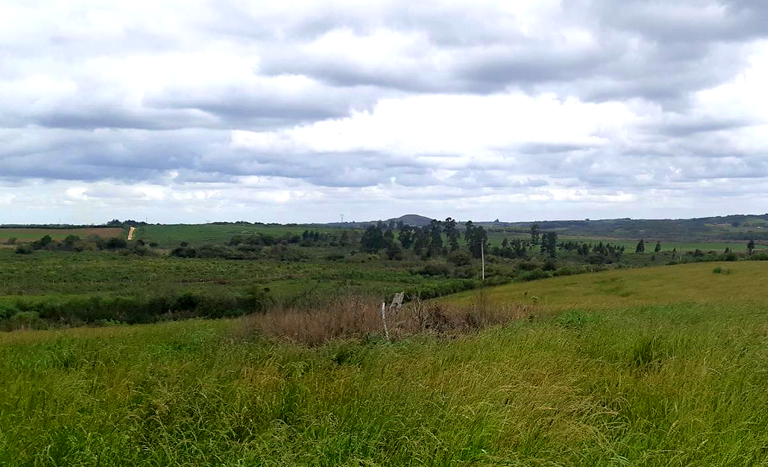 RS_PA rubira_dez2023.png