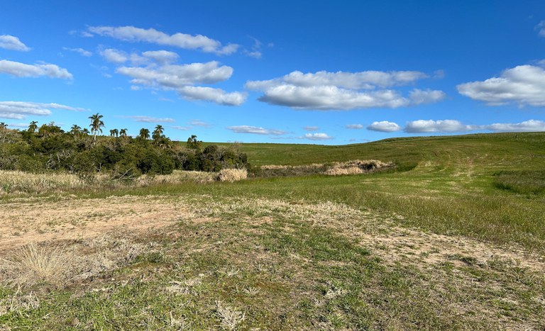 Assentamento Nova Conquista II (RS)