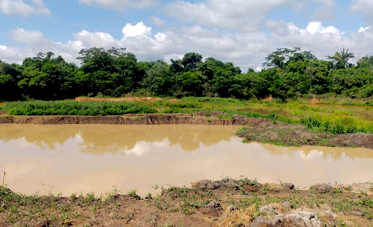 GO_Fiscalização ambiental_PA Canudos_dez2025.png