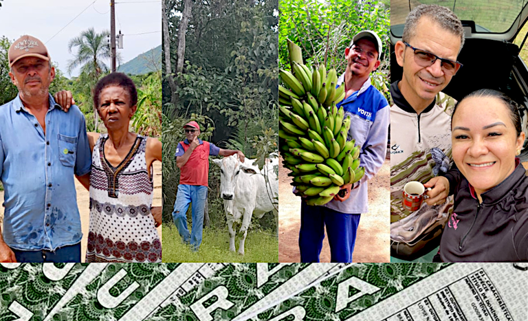 GO_arte fotos titulacao porangatu e campinorte_nov2025.png