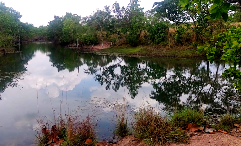 GO_represas_cadastramento_foto Lawrence Ribeiro_out2023.png