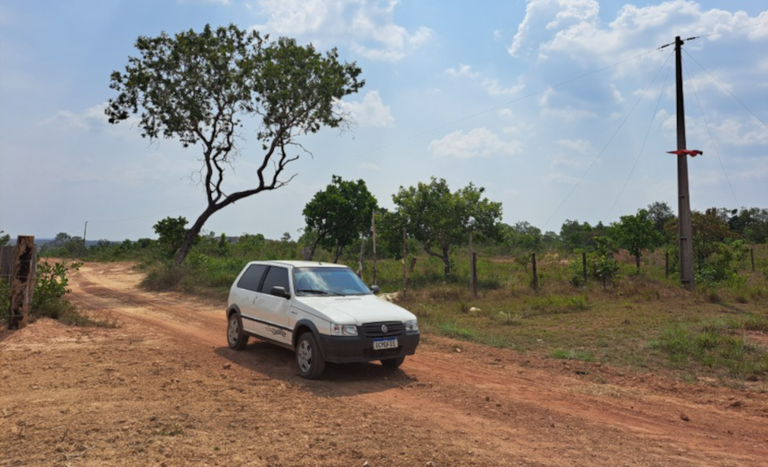 TO_PA Olga Benário 3_abril2024.png