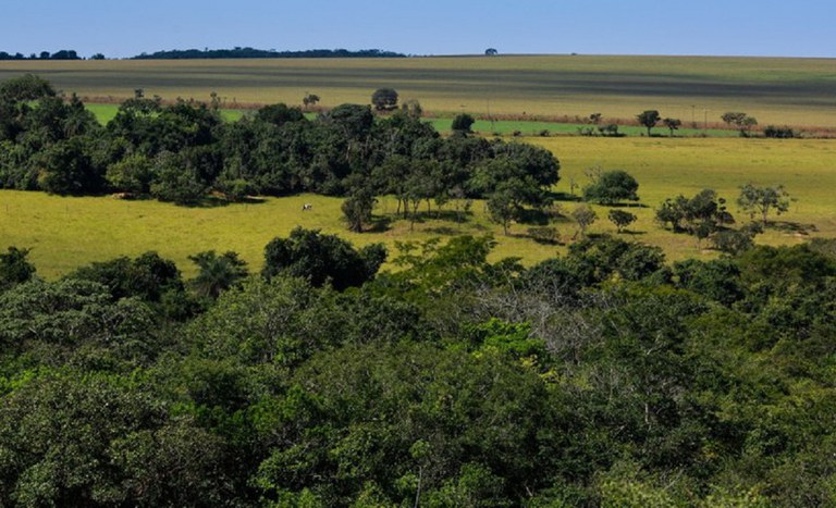 Incra inicia a individualização do Cadastro Ambiental Rural em assentamentos da reforma agrária