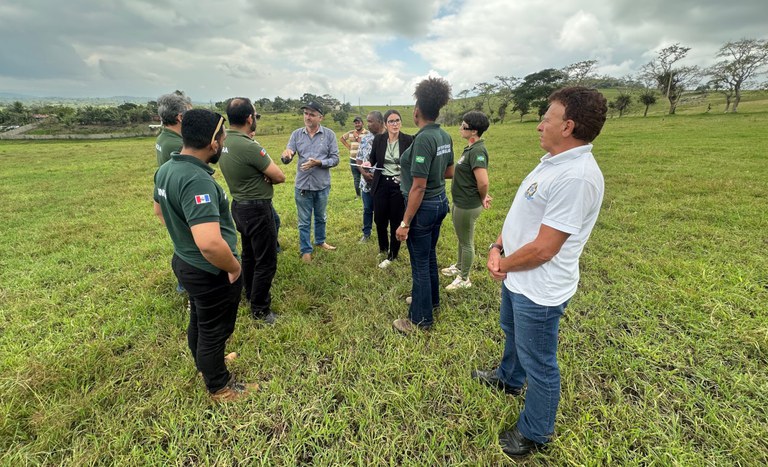 AL tabacaria imissao 3