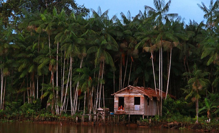 Amazonas Povos tradicionais