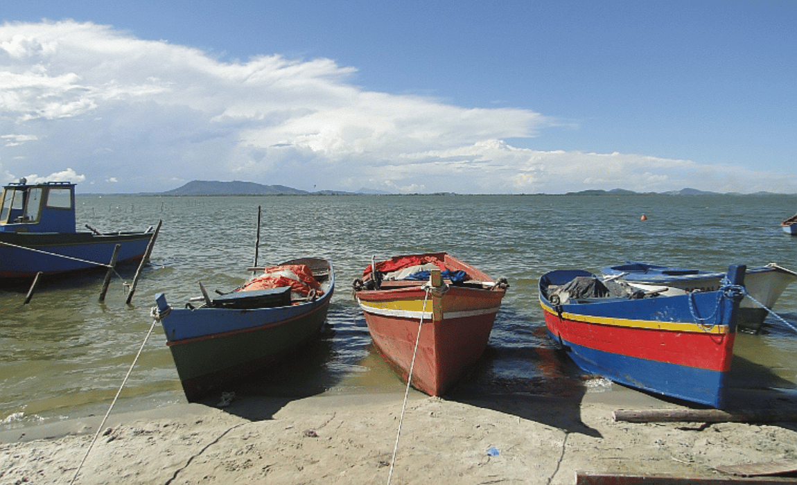 pesca_2026_acervo_incra_web.png