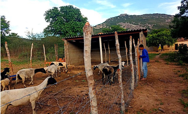 BA_Fundo e Fecho_Uauá 2_jan2026.jpeg