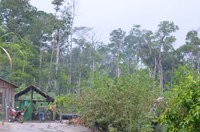 Incra/RO notifica 320 beneficiários por ocupação irregular do lote