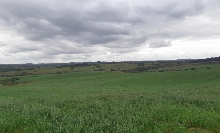 Incra Inicia processo seletivo de famílias para assentamento em Piratini no Rio Grande do Sul