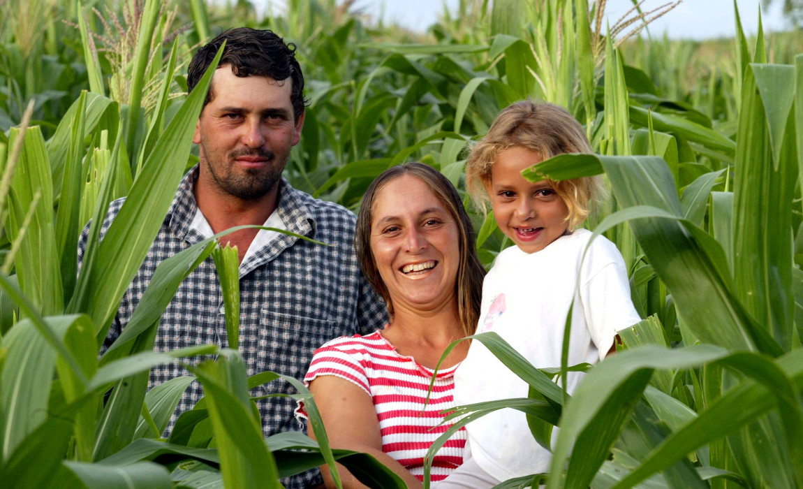 Família no milharal