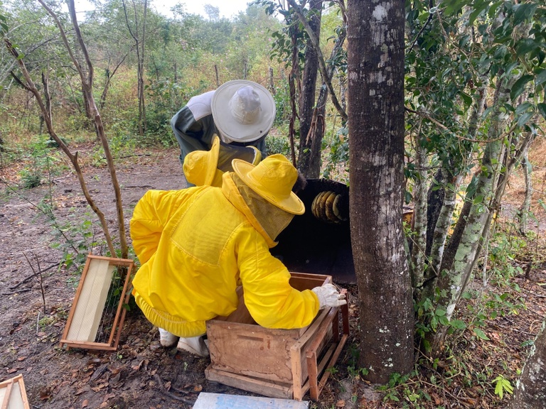 Helen e Wellington no manejo do apiário.jpg