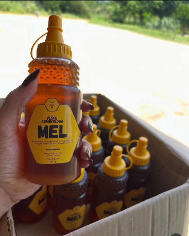 Mel do apiário Floriu.jpg