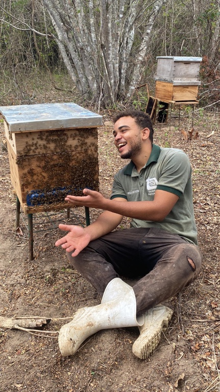 Wellington à vontade com as abelhas .jpg