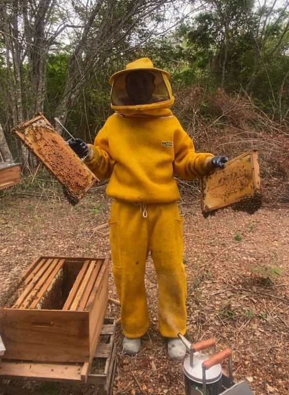 Wellington com o mel.jpg