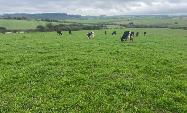 Mais R$ 5,6 milhões em crédito são liberados para assentados no RS