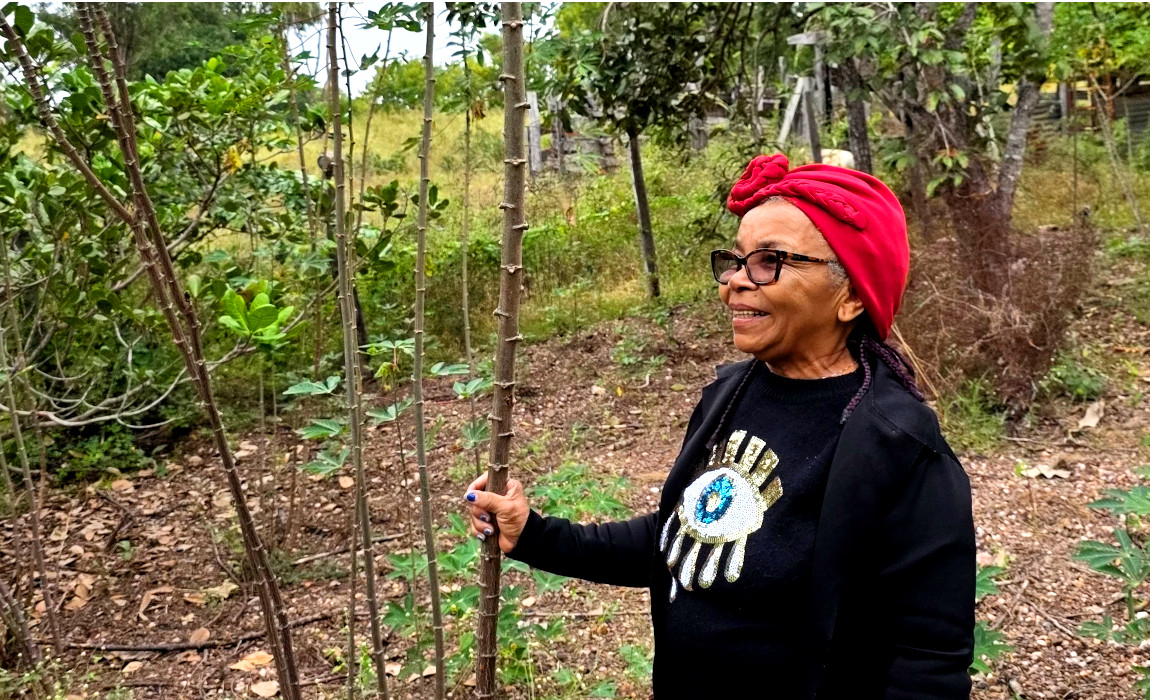 Imagem mostra a quilombola Maria do Chá no primeiro plano e plantas de lado e ao fundo