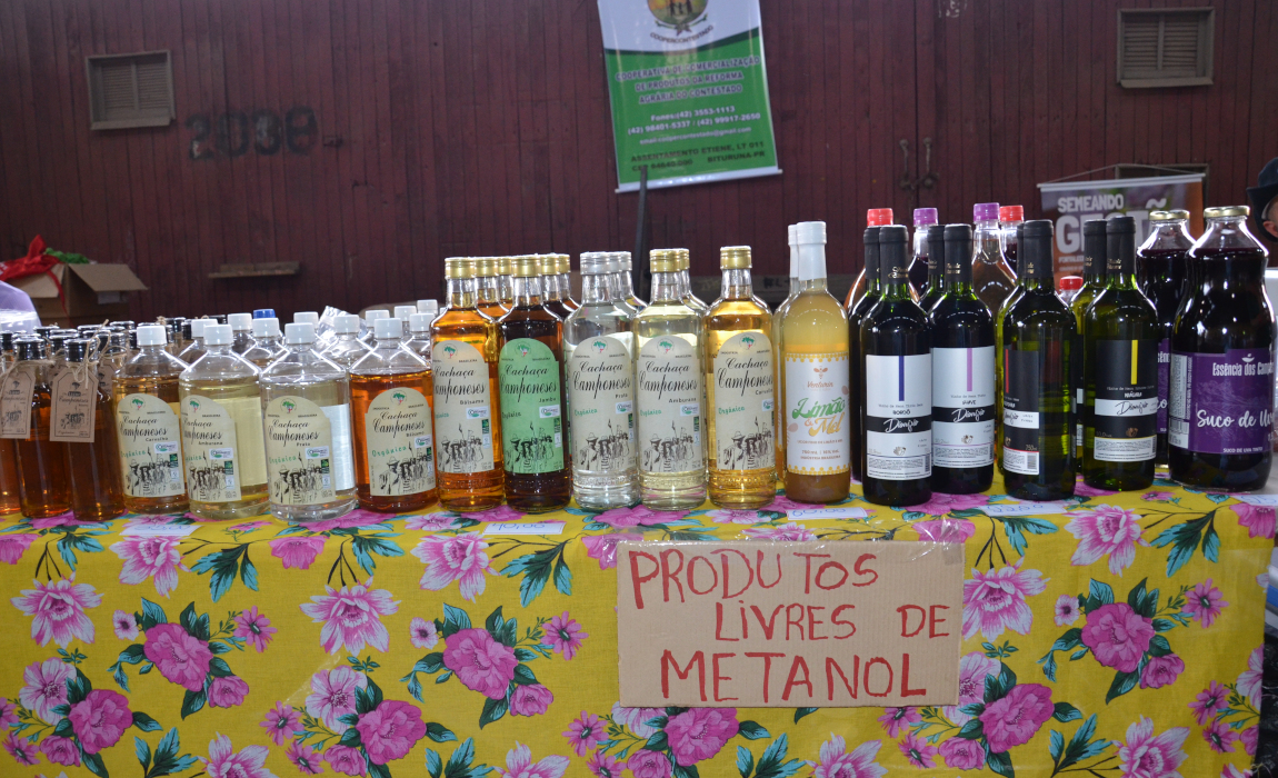 SP feira 4