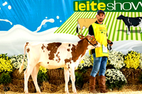 Melhor jovem criador de bovinos de Santa Catarina é assentado da reforma agrária