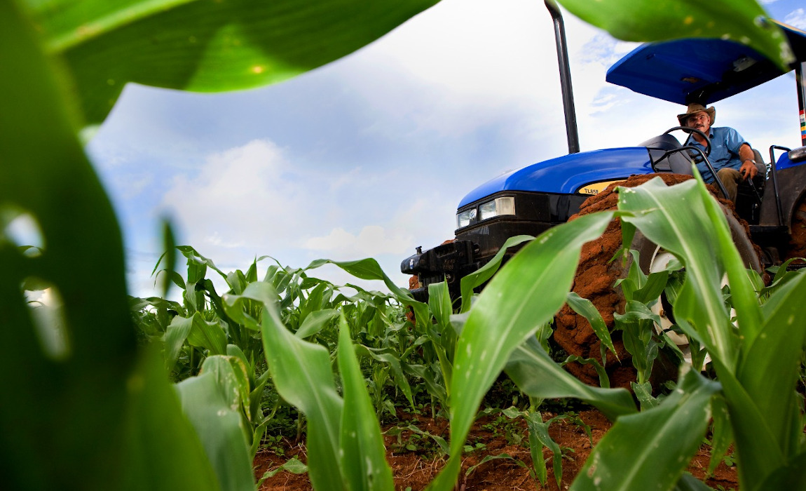 Agricultor Pronaf
