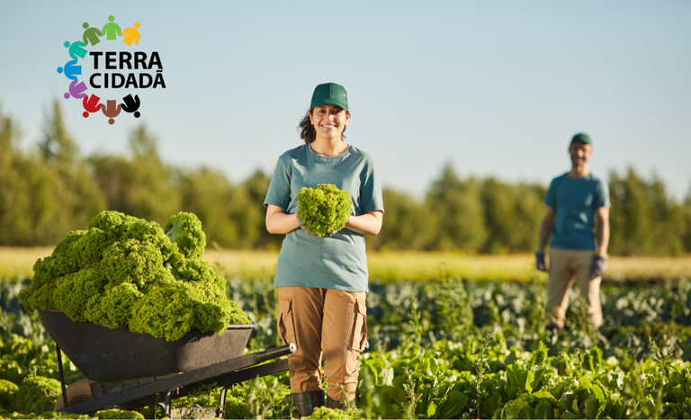 Terra Cidadã
