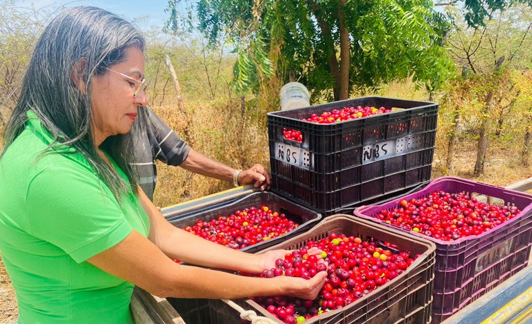 RN assentada Ozineide