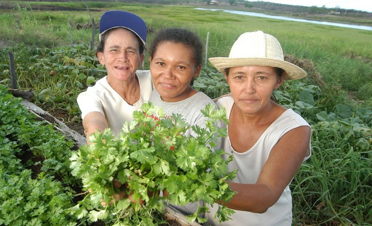 Mulheres