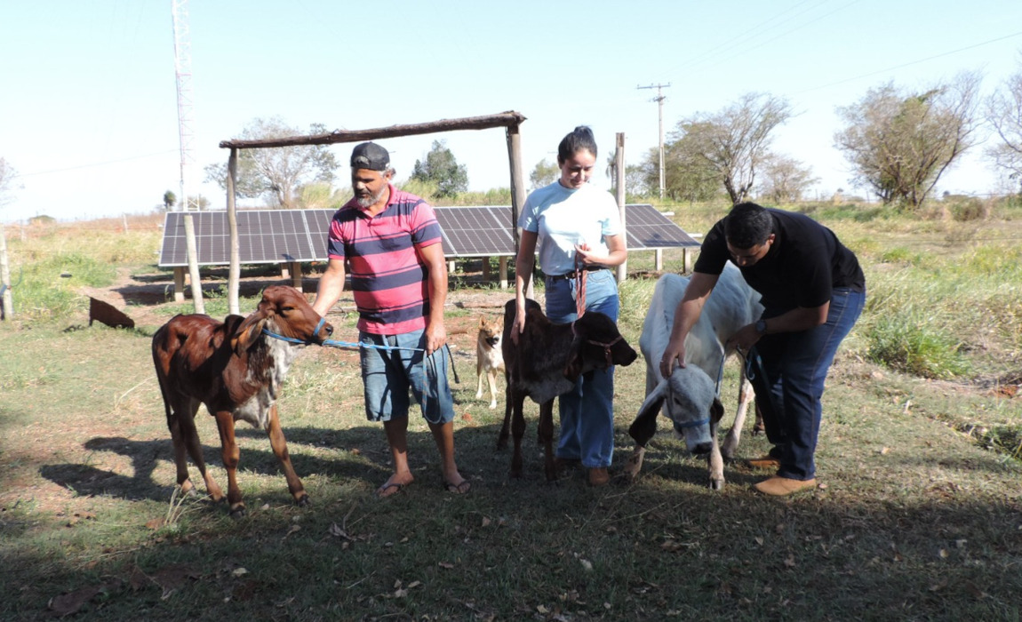SP coopercampo