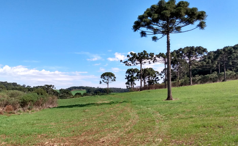 Políticas para quilombolas catarinenses avançam em novembro