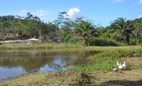 Portaria delimita imóveis privados inseridos no território quilombola Pitanga de Palmares (BA)