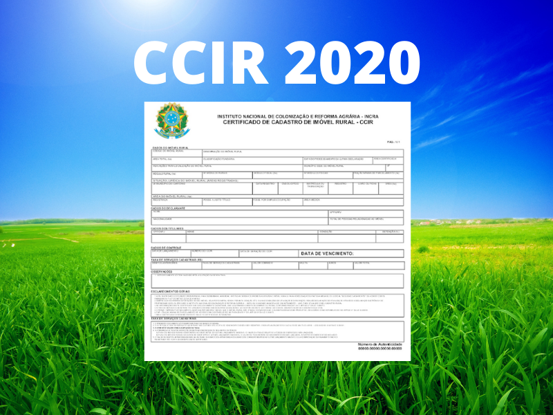 ccir-2020_2.png