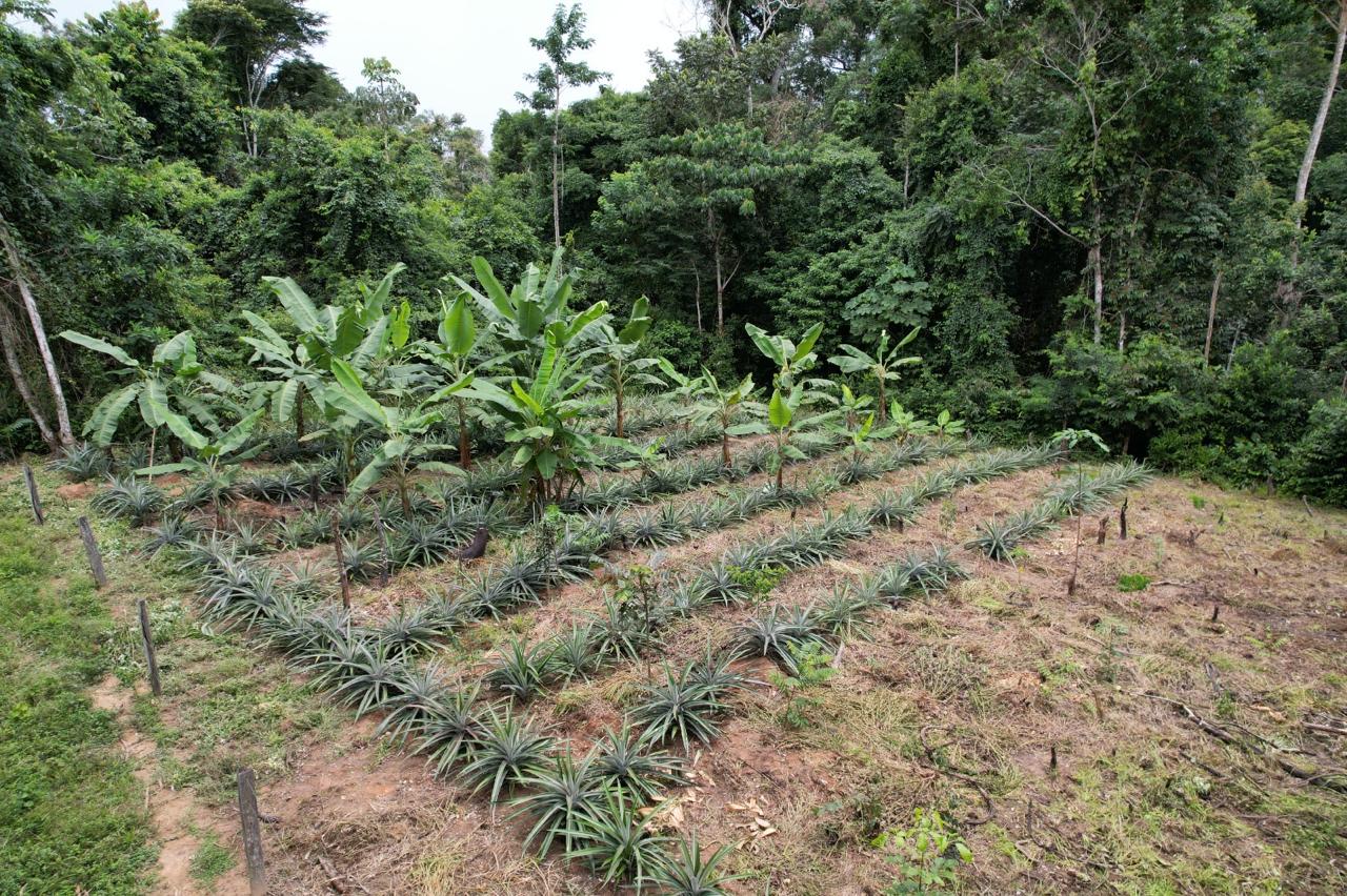 credito_instalacao_recuperacao_ambiental_acre_assis3.jpeg