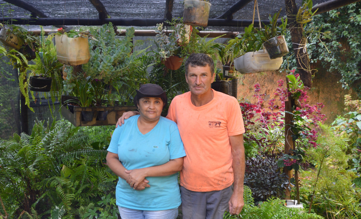 ES plantas