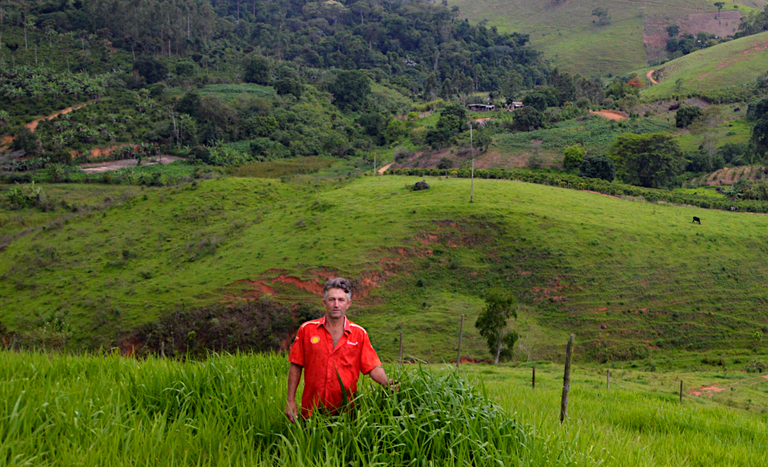 ES_PA Floresta_assentado Joao Batista 2_producao familiar.PNG