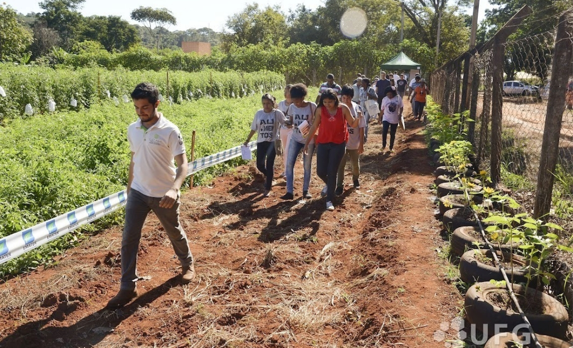Aula de campo de turma do Pronera