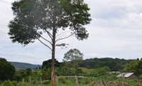 Proprietários de imóveis incidentes em território quilombola em Taquara (RS) recebem notificação