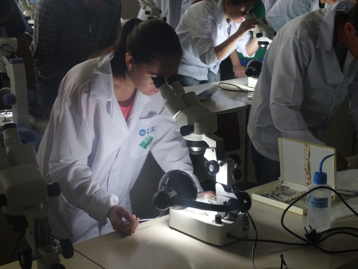 Estudante da URI de jaleco olhando em um microscópio