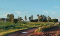 Publicado resultado da seleção de famílias para assentamento em Cruz Alta (RS)