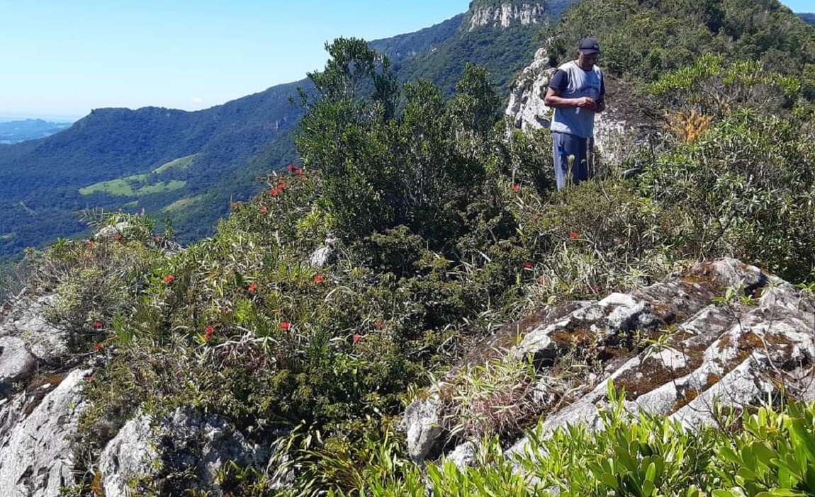 Quilombolas vivem com consciência ecológica em unidades de conservação catarinenses