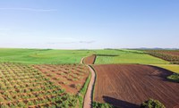 Reclassificação de imóveis rurais beneficia produtores de todo o país